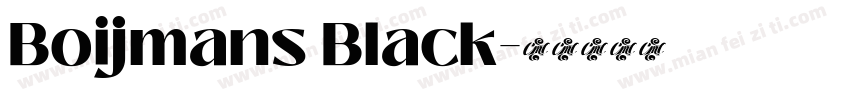 Boijmans Black字体转换